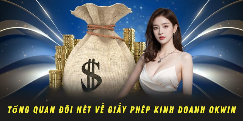 Tổng quan đôi nét về giấy phép kinh doanh OKWIN