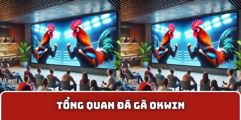 Tổng quan đá gà OKWIN