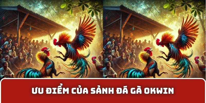 Ưu điểm của sảnh đá gà OKWIN